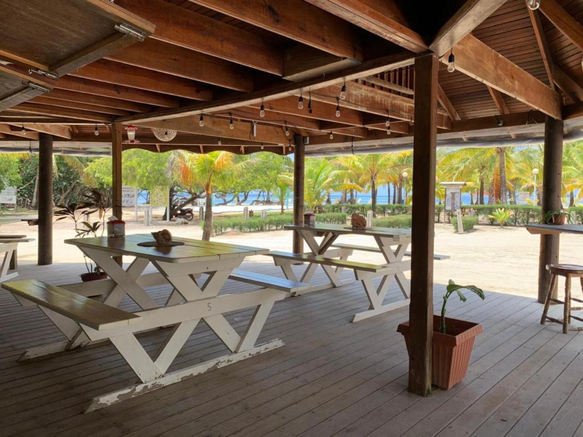 Sea Eye Hotel - Laguna Building Utila Exteriör bild