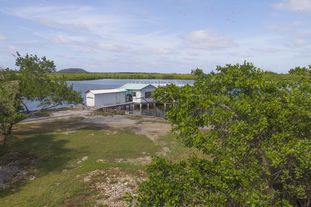Sea Eye Hotel - Laguna Building Utila Exteriör bild